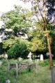St Mary the Virgin Churchyard, Wooden graveboards, September 2000. Photo: S Williams St Mary the Virgin Churchyard, Wooden graveboards, September 2000. Photo: S Williams