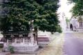Paddington Cemetery, June 2001. Photo: S Williams Paddington Cemetery, June 2001. Photo: S Williams