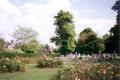 Paddington Cemetery, June 2001. Photo: S Williams Paddington Cemetery, June 2001. Photo: S Williams