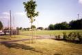 Stonebridge Recreation Ground, June 2001. Photo: S Williams Stonebridge Recreation Ground, June 2001. Photo: S Williams