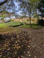 Woodcock Park: Pollinator Biodiversity Garden, October 2024. Photograph S. Morpurgo Woodcock Park: Pollinator Biodiversity Garden, October 2024. Photograph S. Morpurgo