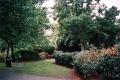 Montpelier Gardens, August 2002. Photo: S Williams Montpelier Gardens, August 2002. Photo: S Williams