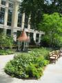 Finsbury Circus Gardens drinking fountain - Colin Wing - June 2025 Finsbury Circus Gardens drinking fountain - Colin Wing - June 2025