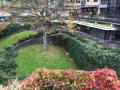 Rotunda Garden, October 2017. Photograph Sally Williams Rotunda Garden, October 2017. Photograph Sally Williams