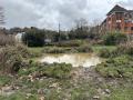 Pond corner of Harold Road and Chevening Road. 8 Feb 2026. Helen Monger Pond corner of Harold Road and Chevening Road. 8 Feb 2026. Helen Monger