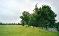 King George's Playing Fields, June 2002. Photograph Sally Williams King George's Playing Fields, June 2002. Photograph Sally Williams