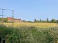 Sir George Monoux College, view across sports field with the 1990 extension by van Heyningen & Haward visible behind the main buildings, August 2024. Photograph Sally Williams Sir George Monoux College, view across sports field with the 1990 extension by van Heyningen & Haward visible behind the main buildings, August 2024. Photograph Sally Williams