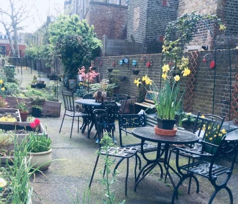 Moat Community Garden at Millbank
