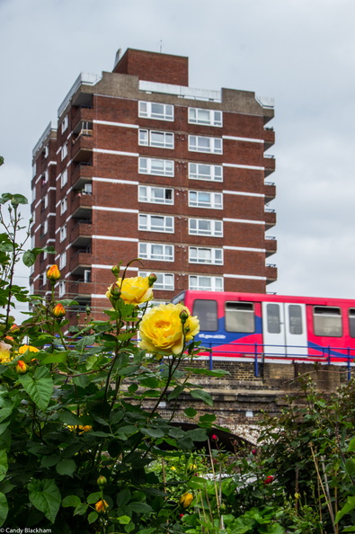 17-5-23 Candy Blackham, Cable Street, LR-8189.jpg