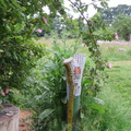 Woodcroft Wildspace