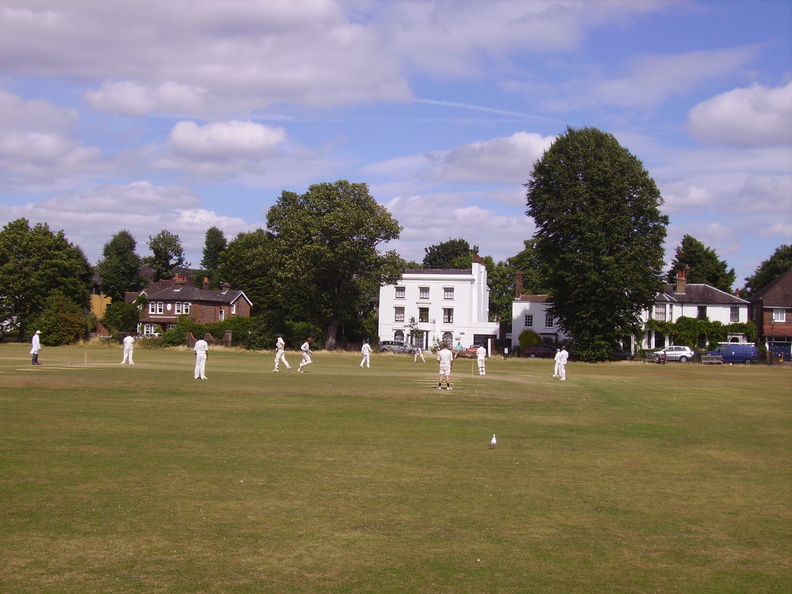 Mitcham Greens (Fair Green, Three Kings Piece, Cranmer Green/Piece, Cricket Green, Lower Green West, Vestry Hall Green)