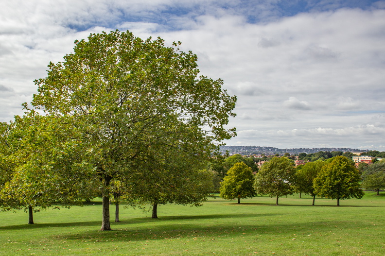 Downham Woodland Walk