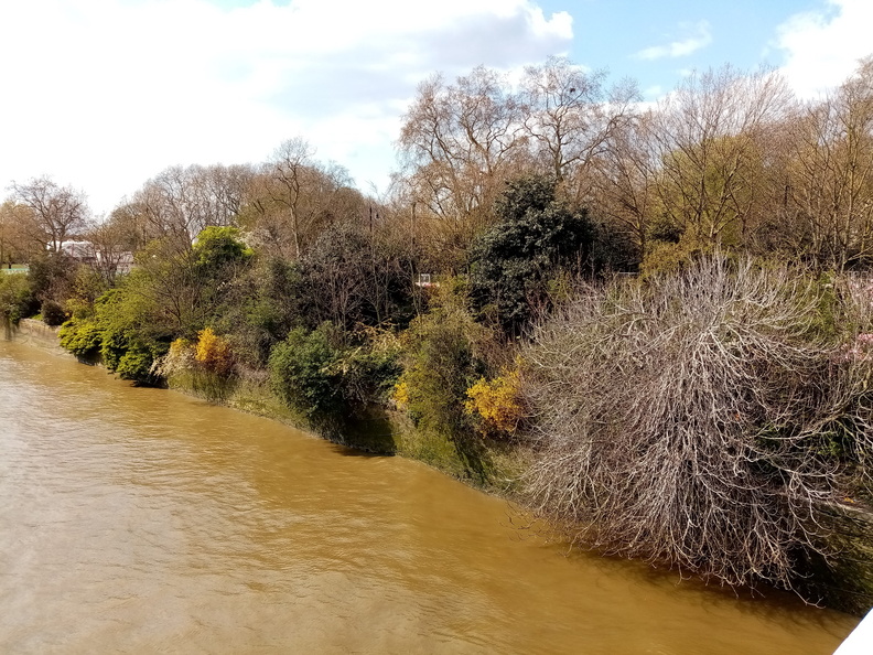 Chelsea Bridge Garden