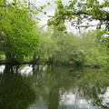 Swakeleys Lake