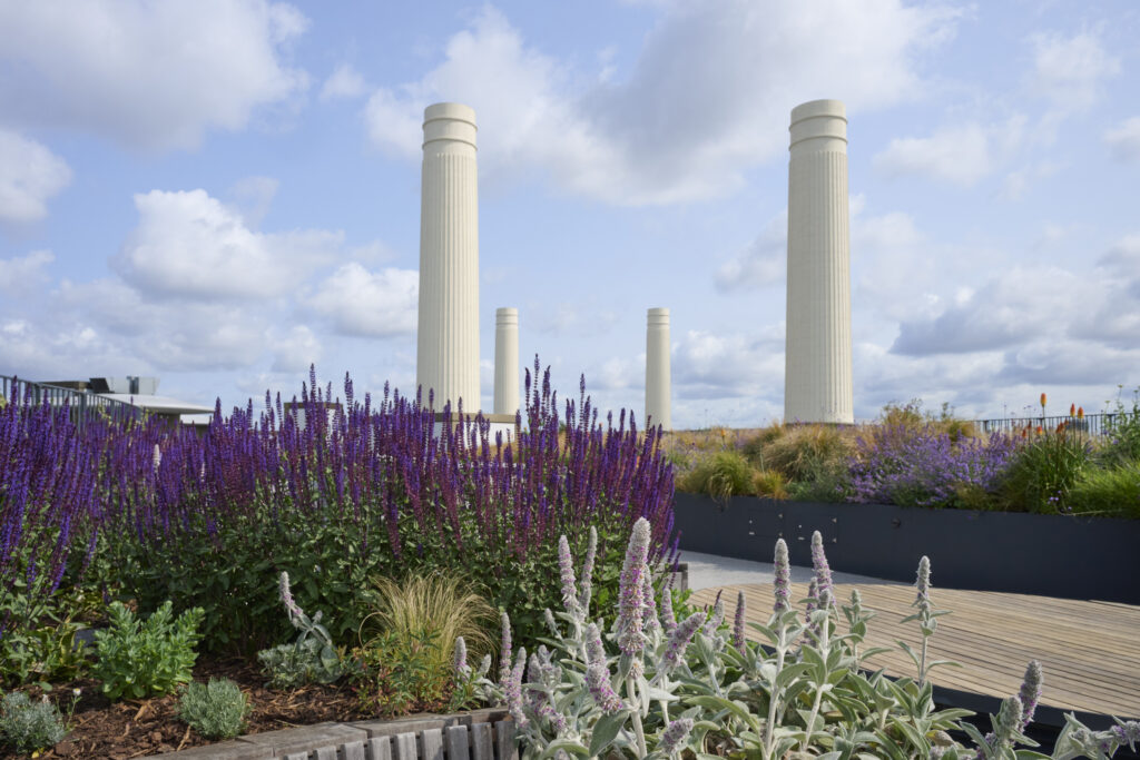 Battersea Roof Gardens copyright Graham Land